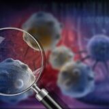 がん治療期の身体環境を支えるという考え方― 4つの隔膜と循環生理からみる支持的アプローチ ―