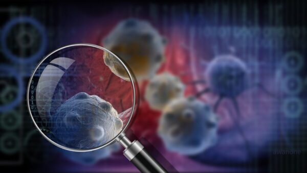 がん治療期の身体環境を支えるという考え方― 4つの隔膜と循環生理からみる支持的アプローチ ―