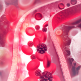 静脈うっ血と身体の不調｜疲労や痛みと循環の関係を考える