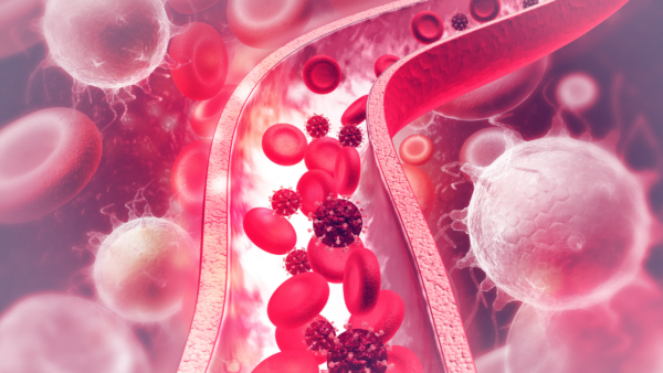 静脈うっ血と身体の不調｜疲労や痛みと循環の関係を考える