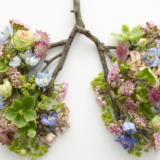 呼吸と回復力｜なぜ呼吸が身体の回復に関係するのか