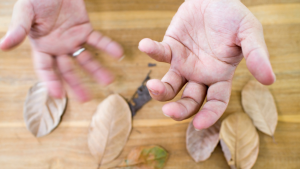 パーキンソン病と身体の隔膜｜小脳テント（中脳下隔膜）という視点