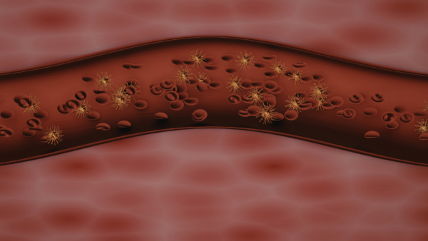 炎症はなぜ終わらないのか｜自己免疫疾患を“流れ”から読み解く