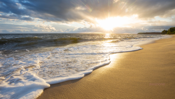 その炎症、実は「排水溝の詰まり」かもしれません