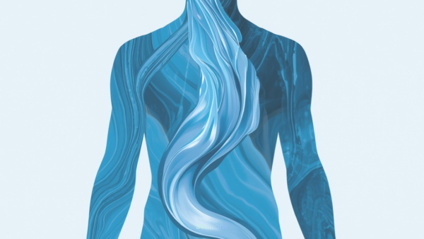 静脈は「回収装置」ではない──身体を回復させる“もう一つの主役”