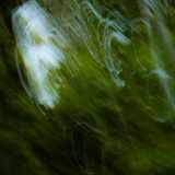 なぜ痛いところを揉んでも戻るのか｜体は「名詞」ではなく「動詞」