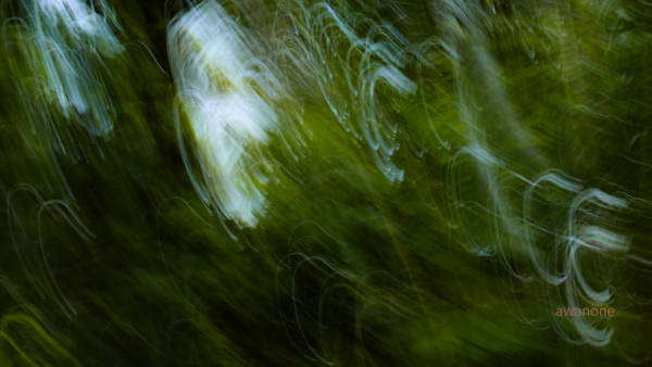 なぜ痛いところを揉んでも戻るのか｜体は「名詞」ではなく「動詞」