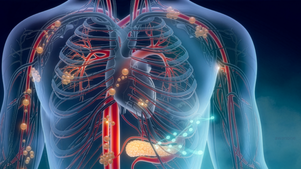 身体は“3つの川”でできている ― 静脈から読み解く不調の本質